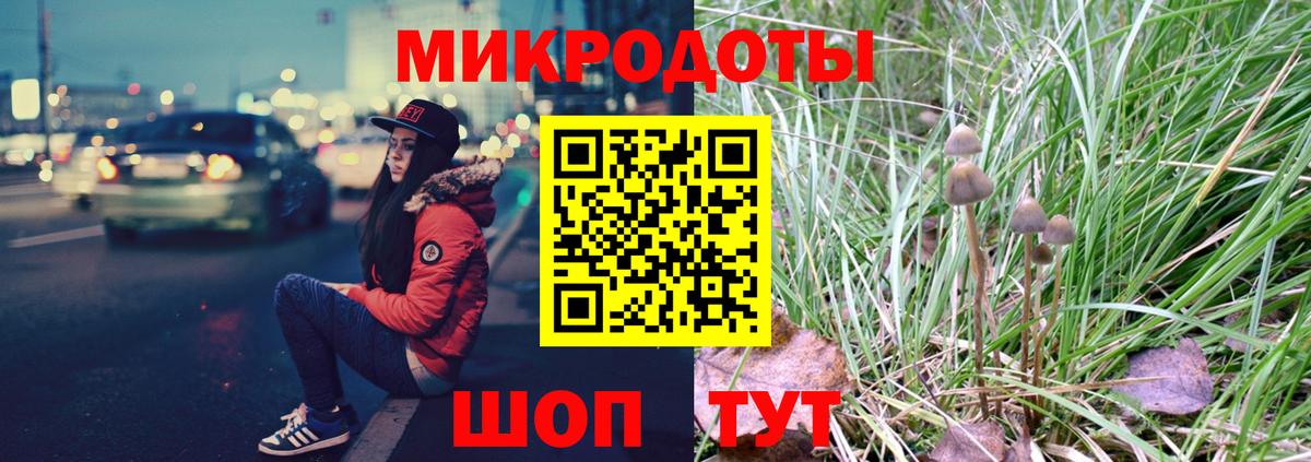 Ставрополь  Галлюциногенные грибы мухоморы  Вход с VPN 