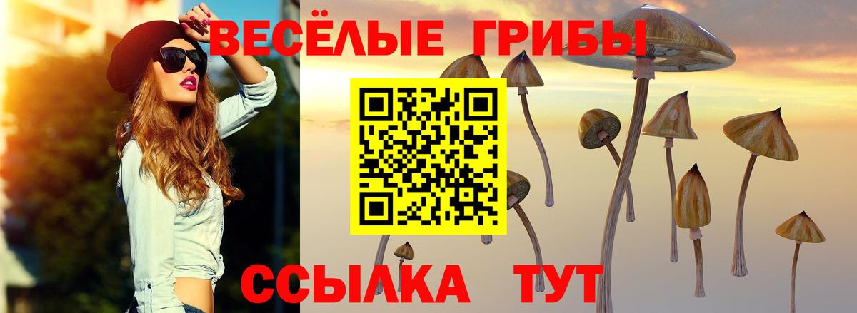 Галлюциногенные грибы GOLDEN TEACHER Ставрополь